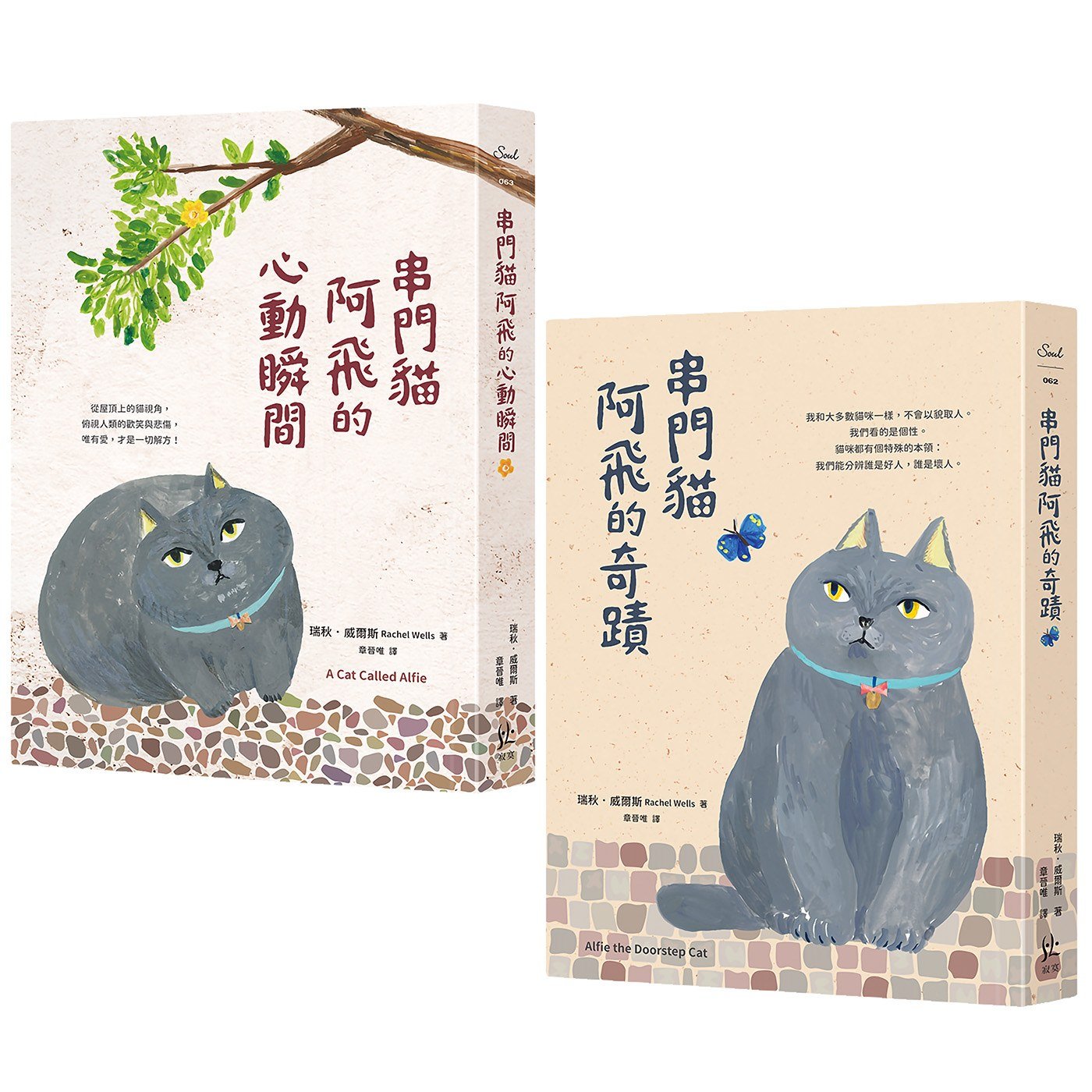 串門貓阿飛的心動瞬間